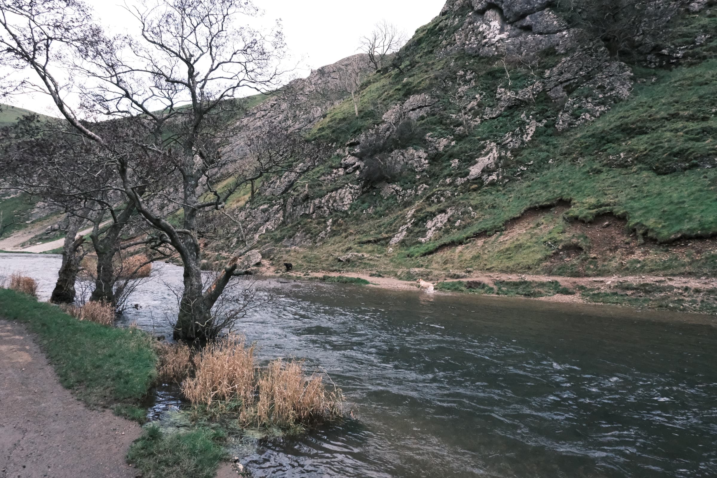 Cold Stream
