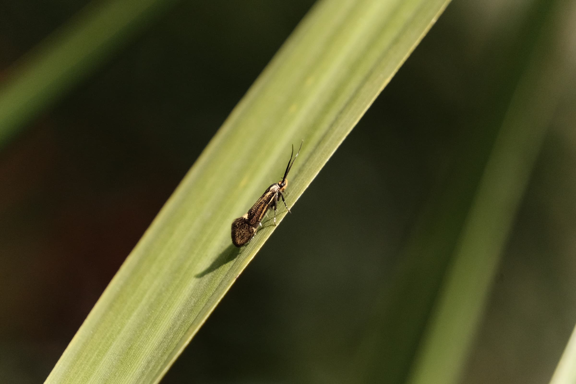 caught this little one hiding
